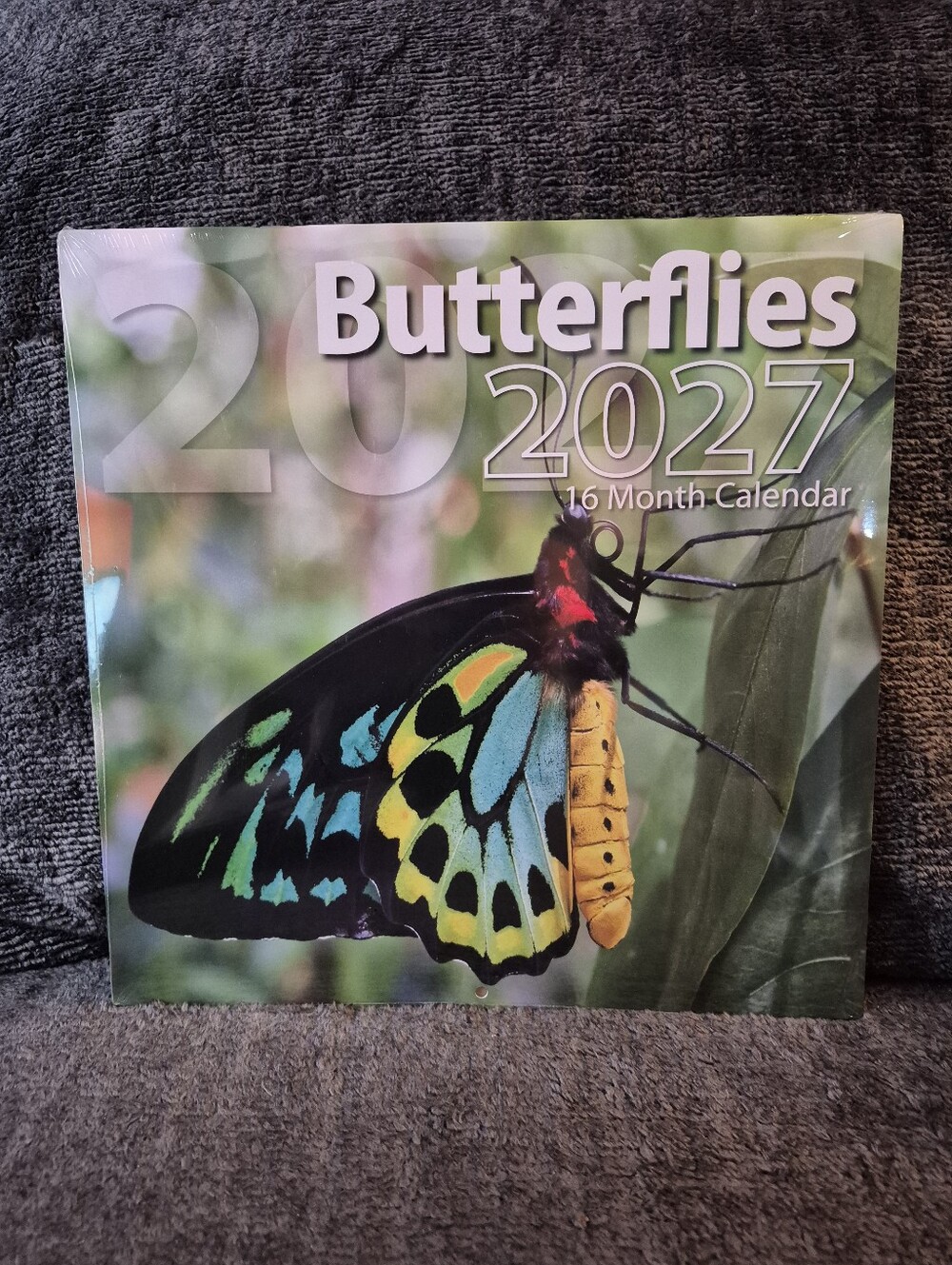 Butterflies 2027 Calendar